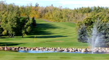 Hazelwood 1