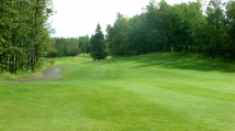 Hazelwood 3