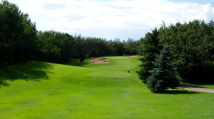 Hazelwood 8