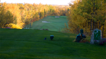 Spruce 8