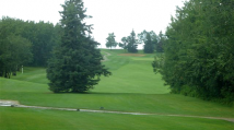 Spruce 9