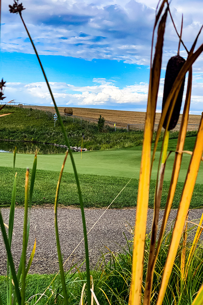 Centennial Stories - Celebrating the Past - Innisfail Golf Club - Alberta