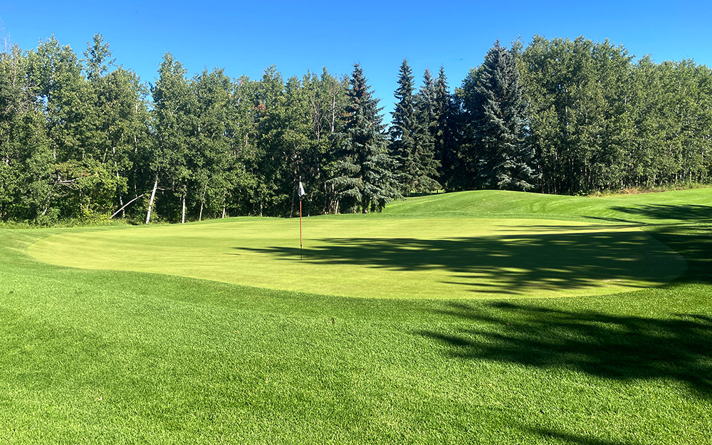 Innisfail Golf Club - Course Layout - Aspen 9